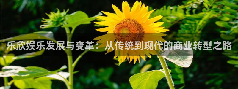 upload/20250701114914.jpg